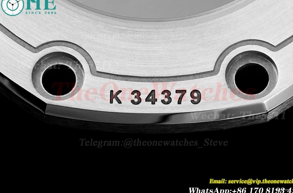 Oak RU SS Dial 15710 Clone Super Offshore Diver White Royal 42mm SA3120 APSF 0411